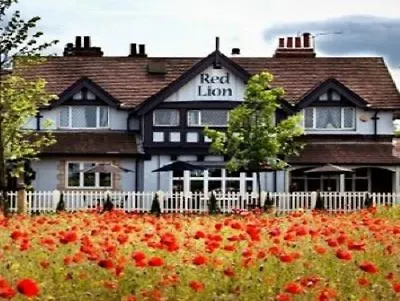 The Red Lion Inn By Chef & Brewer Collection Todwick 4*,  Storbritannien